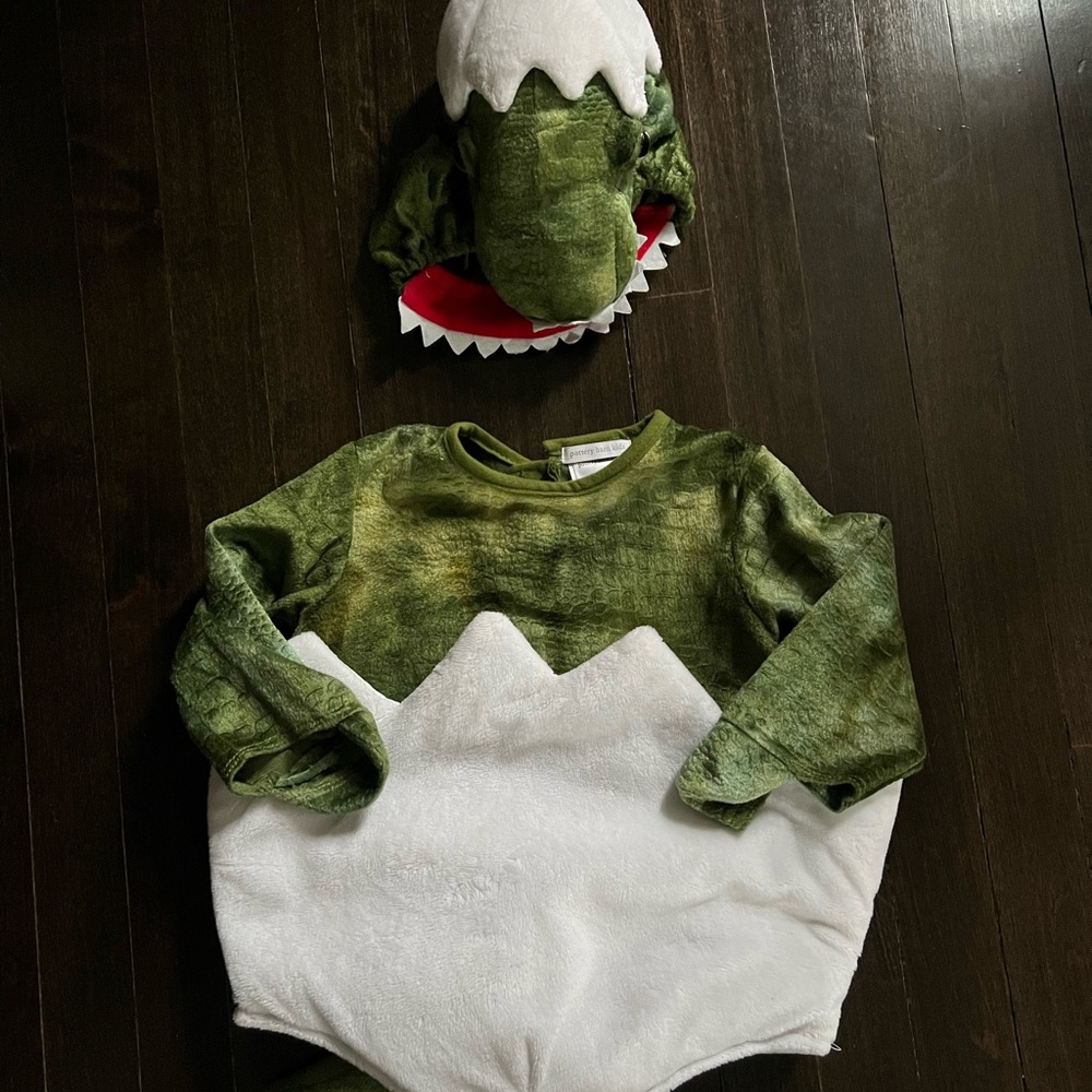 EUC Pottery Barn Baby Dinosaur
